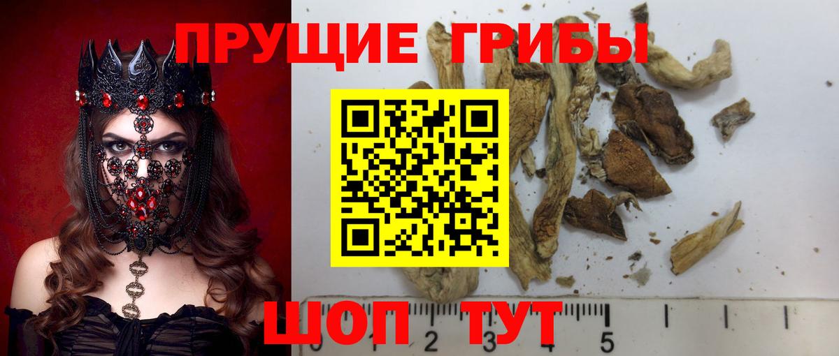 Норильск  Галлюциногенные грибы прущие грибы  Псилоцибиновые грибы MAGIC MUSHROOMS  Вход с VPN 