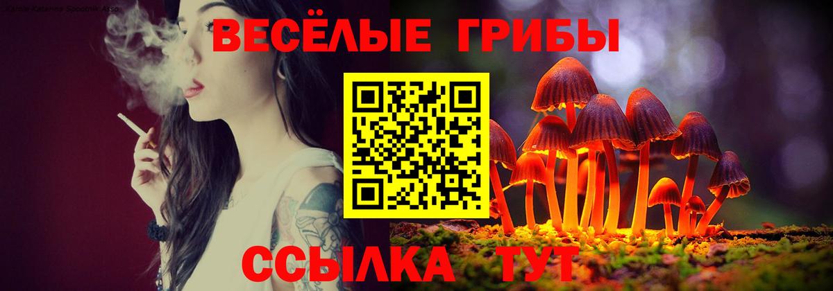 Псилоцибиновые грибы прущие грибы Норильск